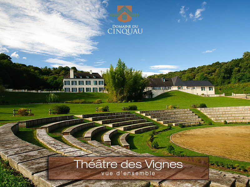 Domaine du Cinquau_64230 ARTIGUELOUVE_4